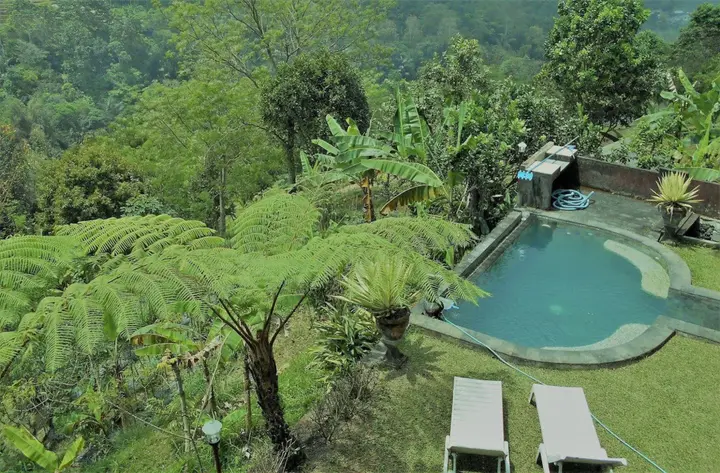 Батурити: Shangrilah Villas