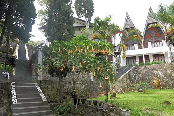 Озеро Тоба: Toledo Inn