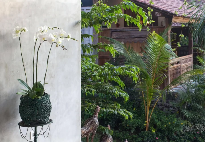 Чангу: Umakayu Bali
