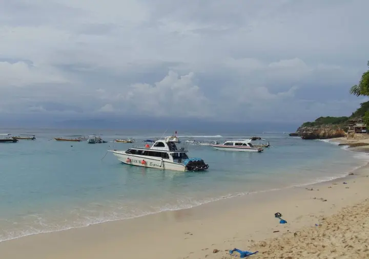 Лембонган-Айленд: Starfish Lembongan