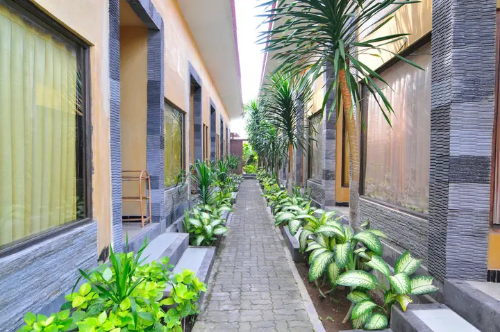 Беноа: Airy Nusa Dua Pratama 81 Bidadari Bali