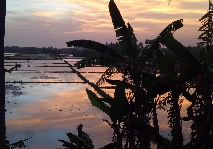 Табанан: The Caz Bali
