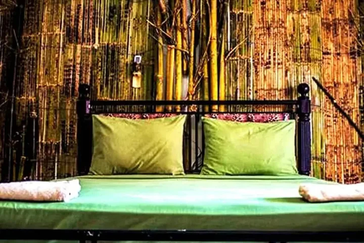 Гили-Мено: The Rabbit Tree - Hostel