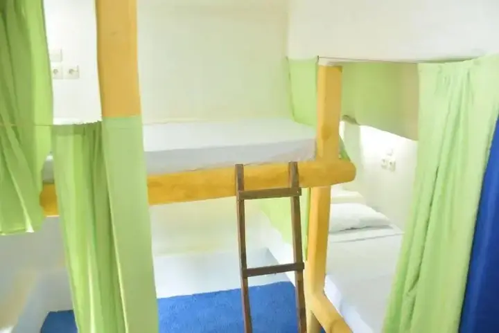 Гили-Мено: The Rabbit Tree - Hostel