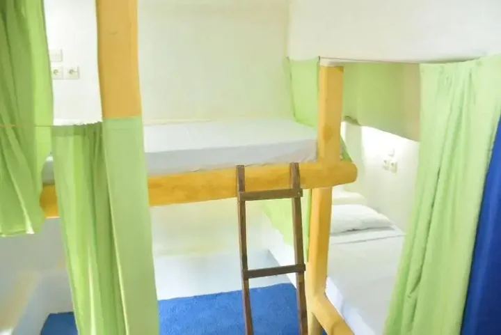Гили-Мено: The Rabbit Tree - Hostel