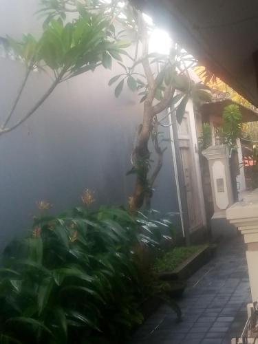 Санур Кайя: 巴厘岛艾里沙努尔伍拉赖79号酒店(Airy Eco Sanur Bypass Ngurah Rai 79 Bali)