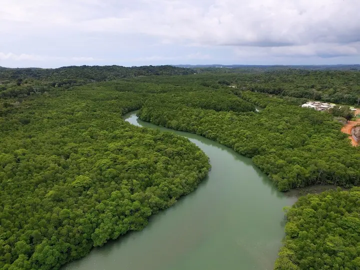 Остров Пеньенгат: The Canopi, Bintan, A Tribute Portfolio Resort
