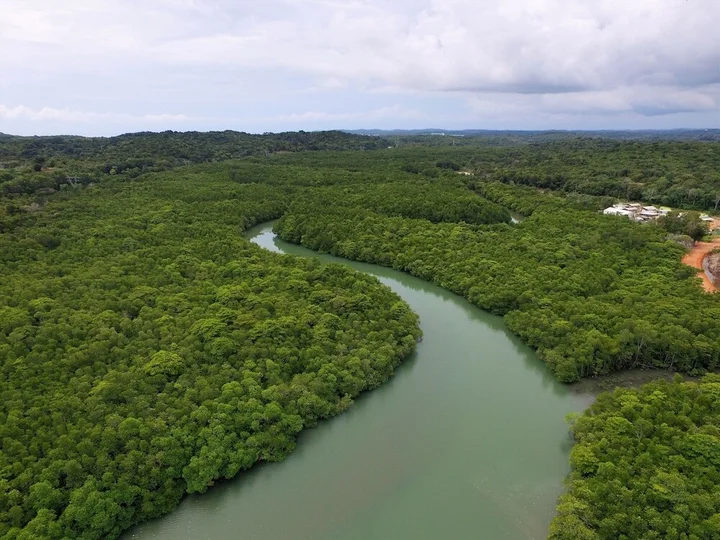 Остров Пеньенгат: The Canopi, Bintan, A Tribute Portfolio Resort