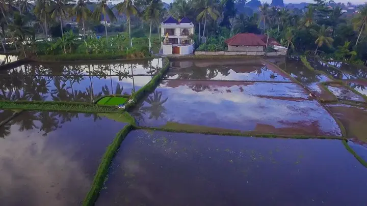 Убуд: Вилла Warna Ubud