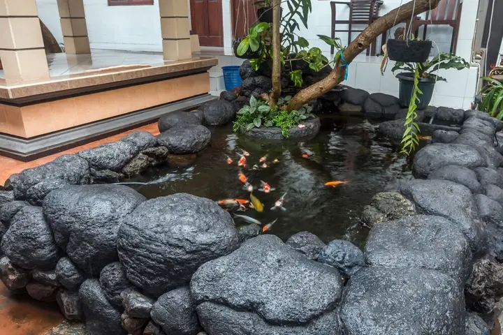 Кута: ZEN Rooms Seminyak Gang Rahayu