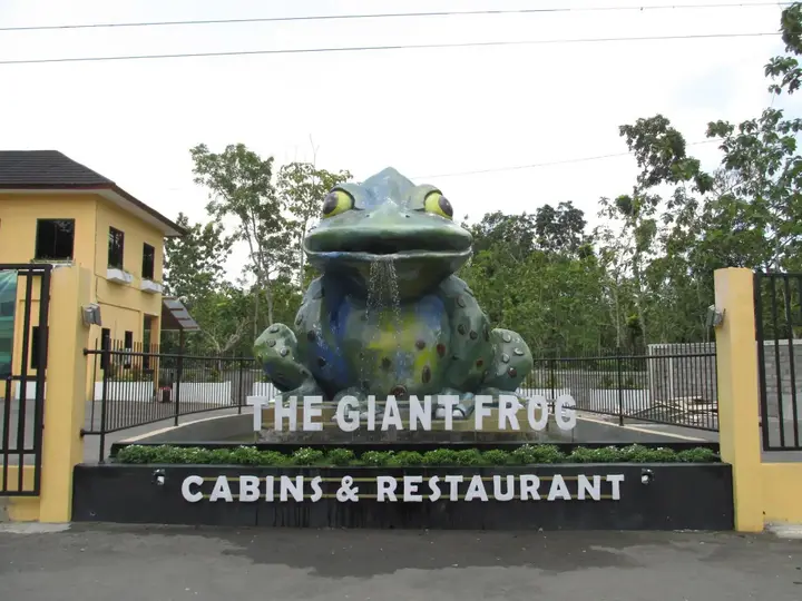 The Giant Frog - Cabins & Restaurant — фото 4