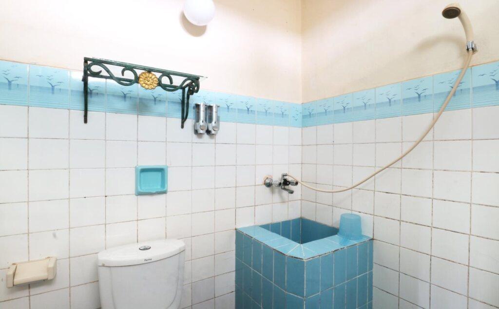 Сизаруа: Hotel Bonita Puncak