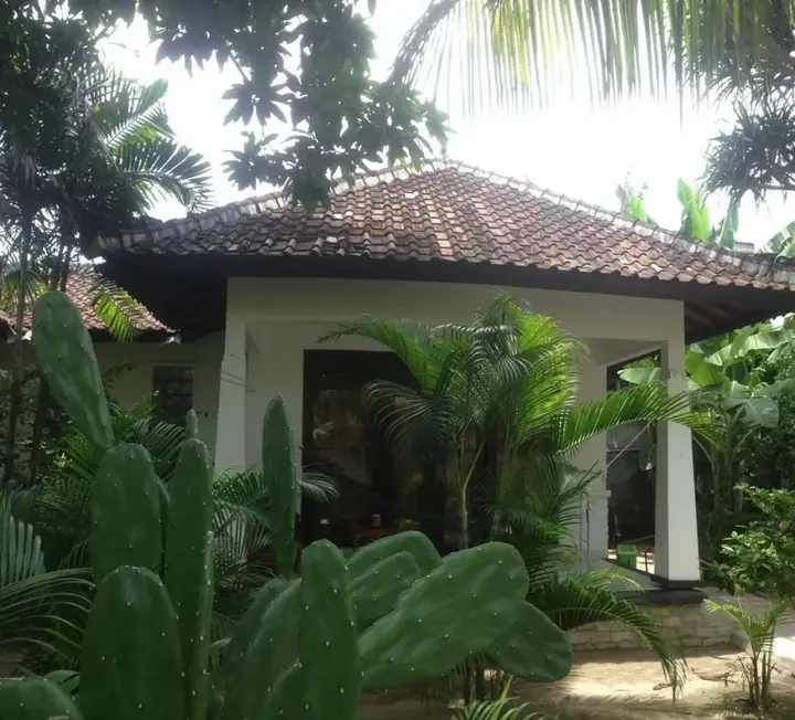 Гили Траванган: Warna Beach Hotel