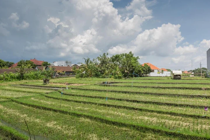Чангу: Bali Easy Living Canggu