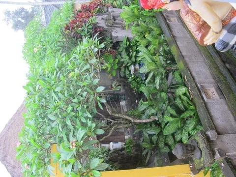 Убуд: Rumah Bintang Kuning