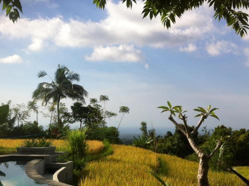 Сукасада: Villa Pondok Apsari