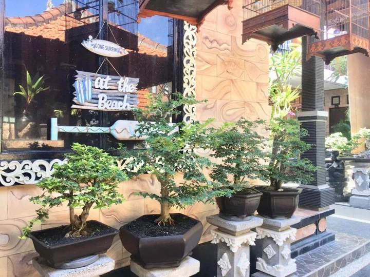 Чангу: Mikuk Homestay