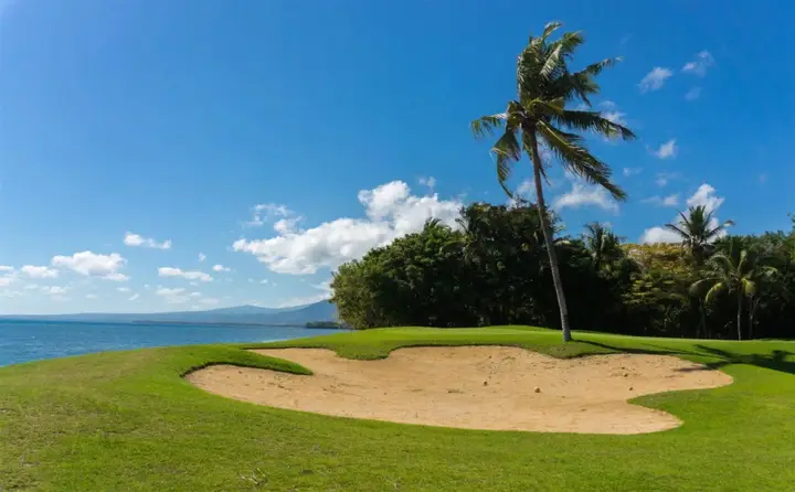 carousel image 4