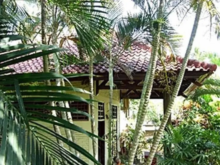 Сенджиги: Kampoeng Senggigi