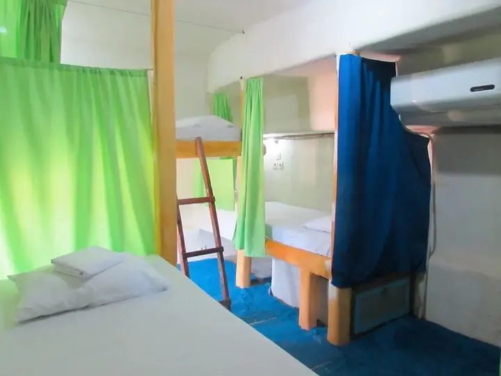 Гили-Мено: The Rabbit Tree - Hostel