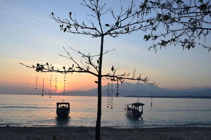 Гили-Мено: The Rabbit Tree - Hostel