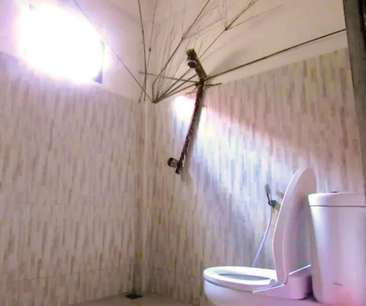 Гили-Мено: The Rabbit Tree - Hostel
