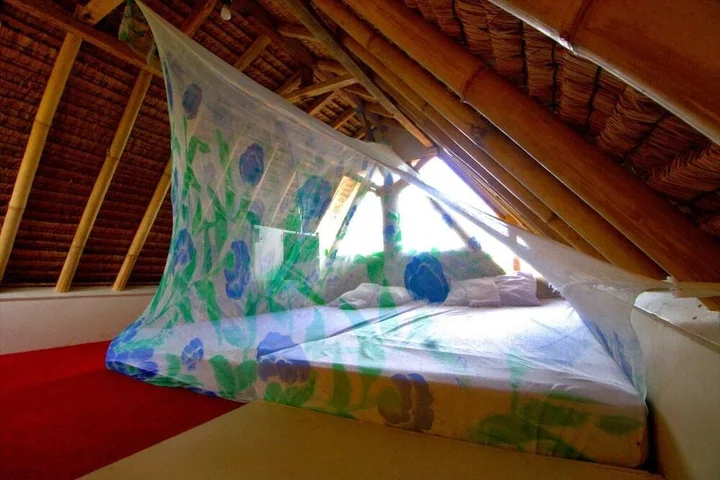 Гили-Мено: The Rabbit Tree - Hostel