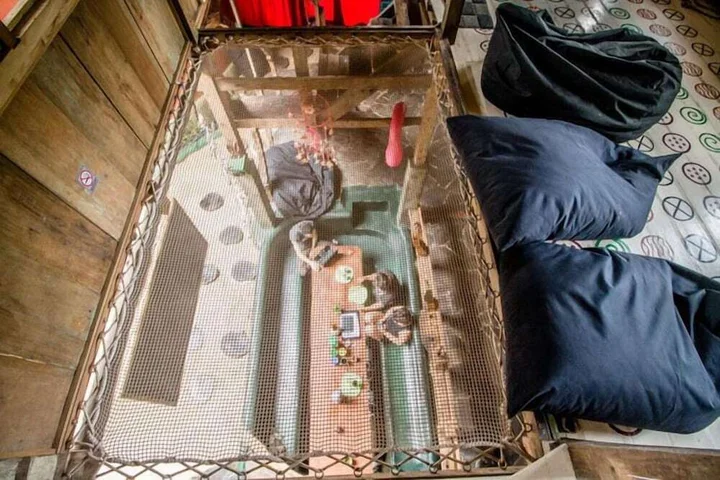 Гили-Мено: The Rabbit Tree - Hostel