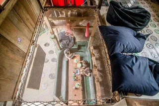 Гили-Мено: The Rabbit Tree - Hostel