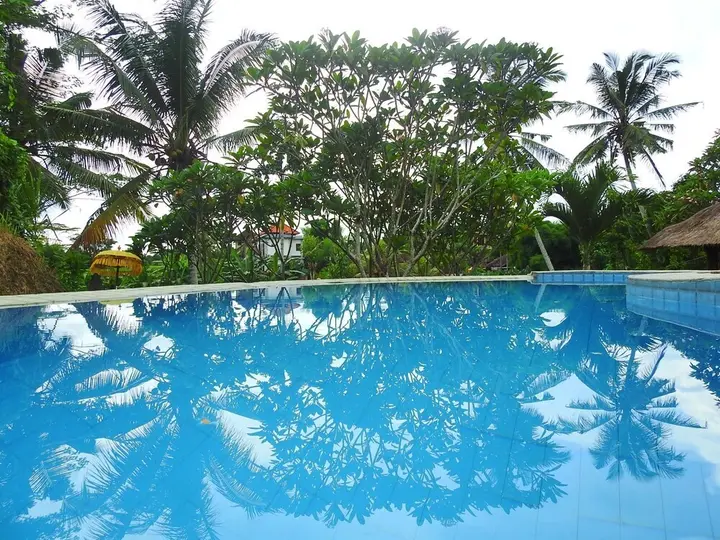 Убуд: Mandala Hostel Ubud