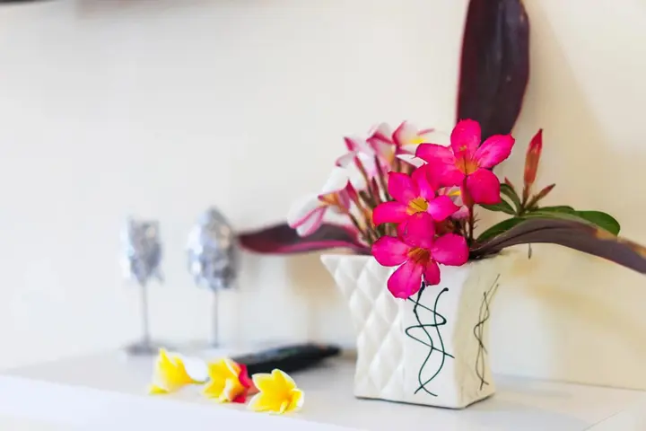 Лембонган-Айленд: Seaweed Guesthouse Lembongan