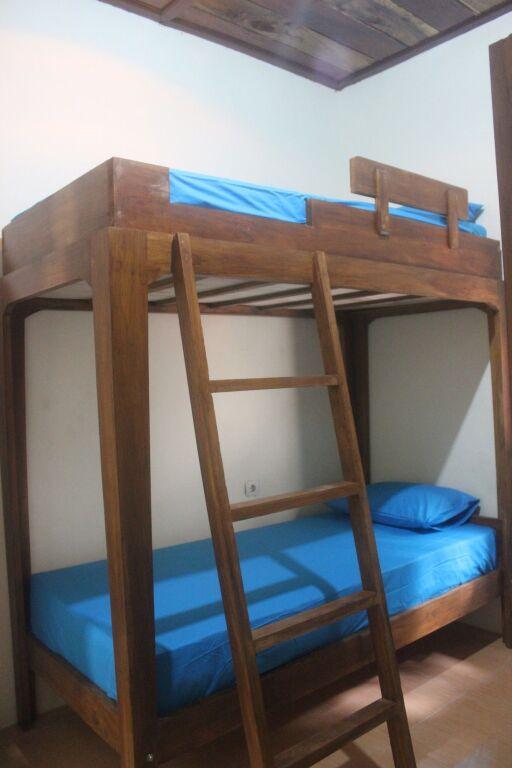 Dorme Tree — фото 5