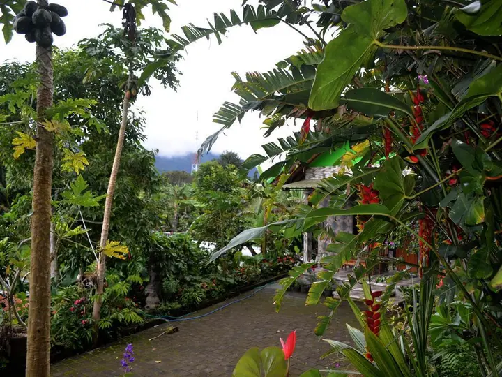 Умеаньяр: Dajan Buyan Homestay