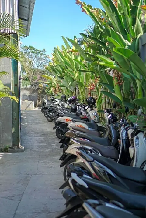 Чангу: Tropical Canggu