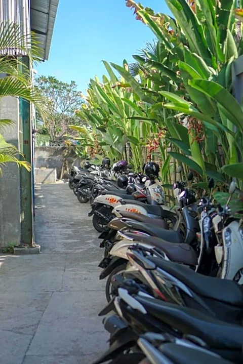Чангу: Tropical Canggu