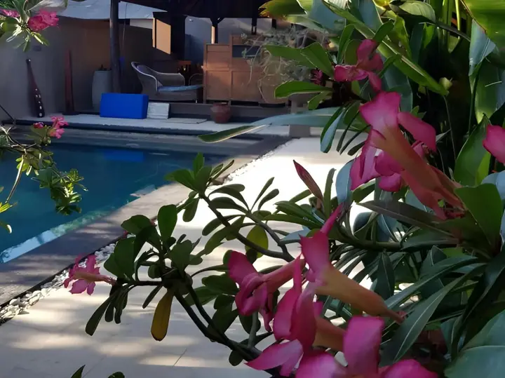Гили Траванган: Gili Exotic Villas