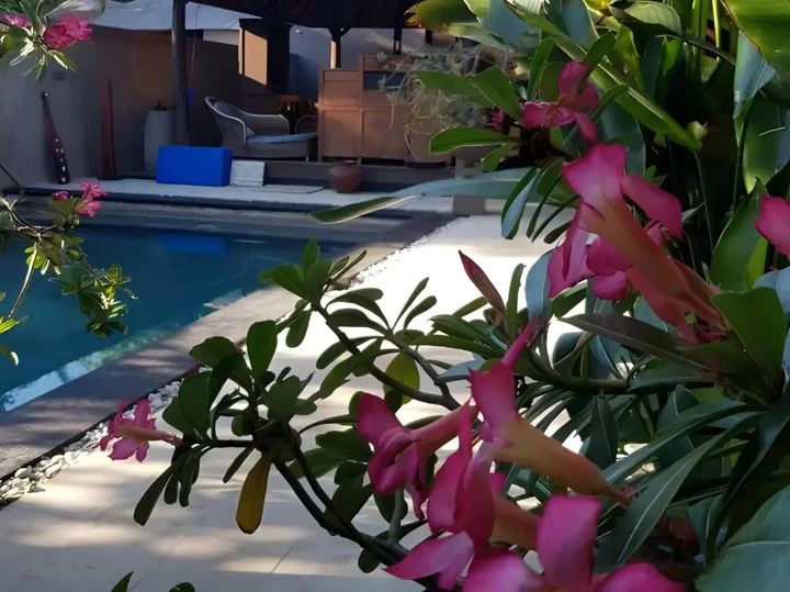 Гили Траванган: Gili Exotic Villas