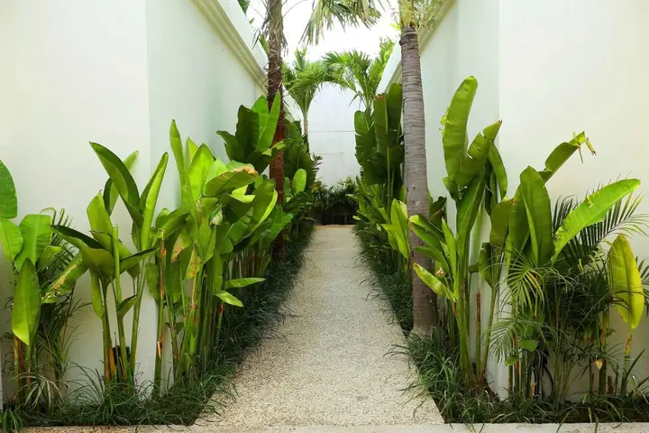 Чангу: Villa Canggu