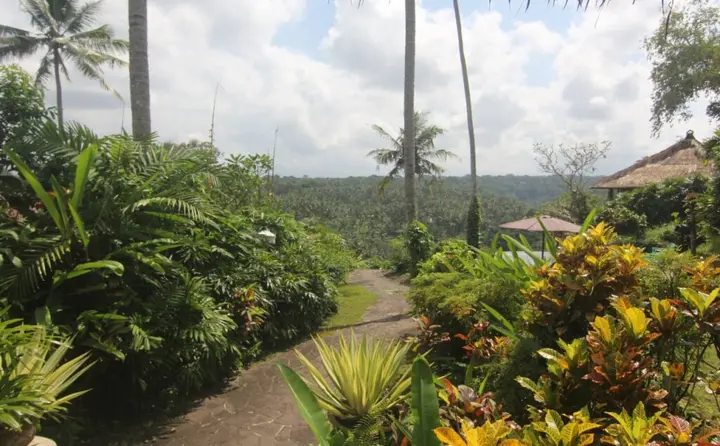 Убуд: Taman Bebek Bali Resort  Spa