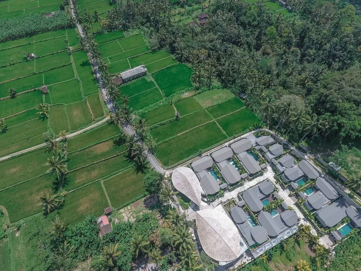 Паянган: Daun Lebar Villas