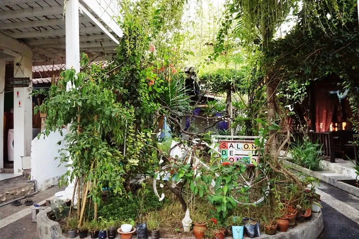 Гили Траванган: Salon de Nomad Gili T.
