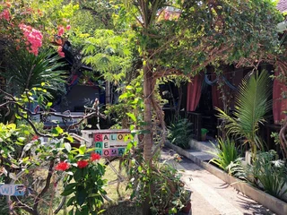 Гили Траванган: Salon de Nomad Gili T.