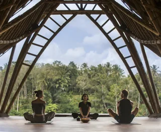 Паянган: The Kayon Jungle Resort