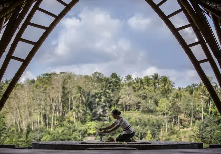 Паянган: The Kayon Jungle Resort
