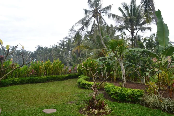 Убуд: Buda Cottage Ubud