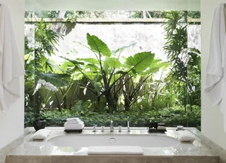 Беноа: REVĪVŌ Wellness Resort Nusa Dua Bali