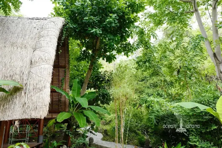 Пурвакерти: Ocean Prana - Hostel