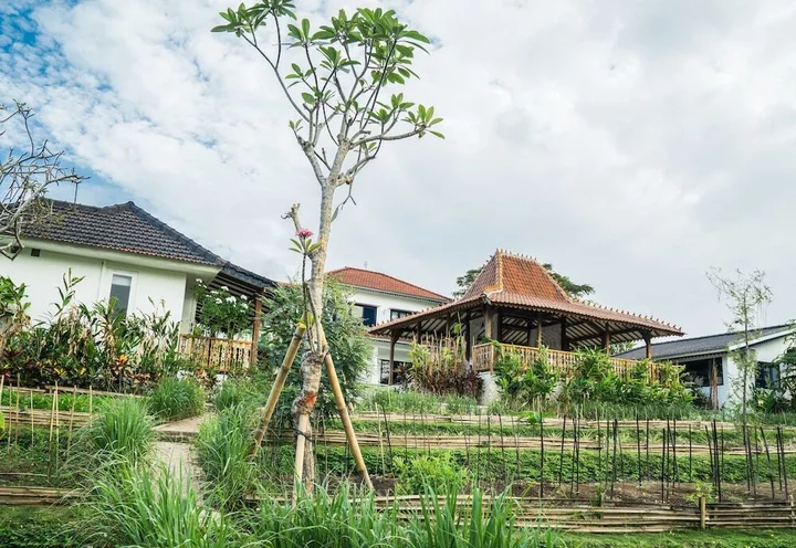Чангу: Canggu Villa & Cooking Retreat