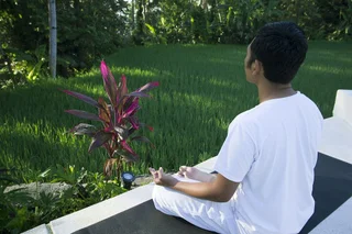 Тегаллаланг: Vrindavan Ubud Villa