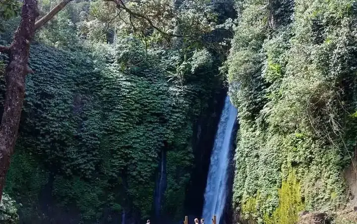 Батурити: Bedugul Camping
